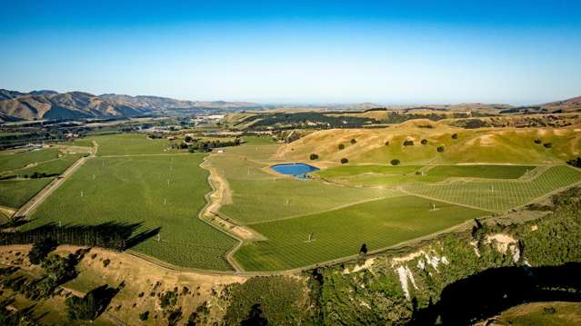 413 Upton Downs Road Seddon_2