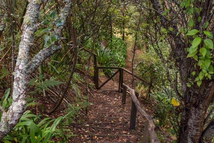 763b White Pine Bush Road Whakatane_27