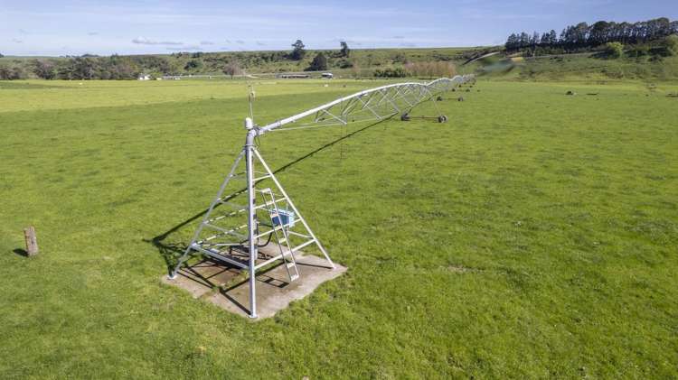 2556 State Highway 53 Martinborough_3