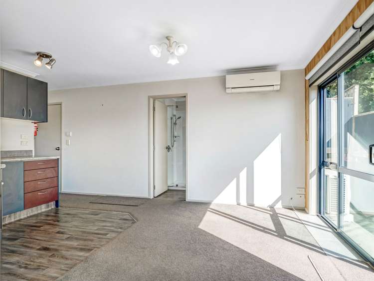 54a Hampton Terrace Parkvale_10