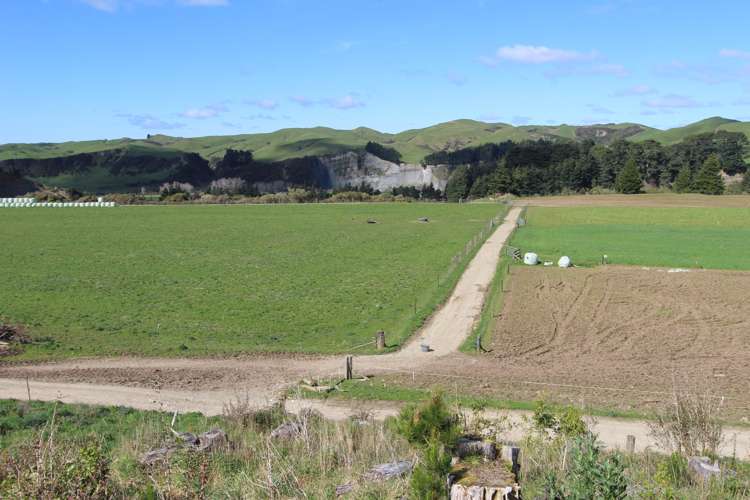 579 Kopikopiko Road Eketahuna_15