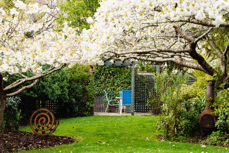 11 Arawa Street Tainui_22