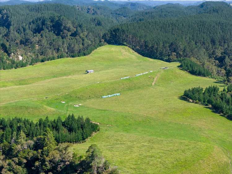 720 State Highway 33 Paengaroa_5