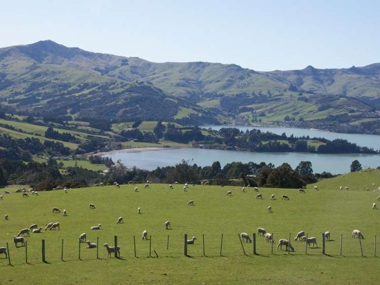 175 Barrys Bay Valley Road Duvauchelle_14