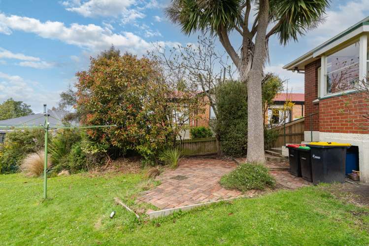 55 English Avenue Mornington_22
