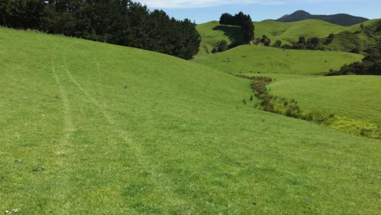 460 Tora Road Tora_17