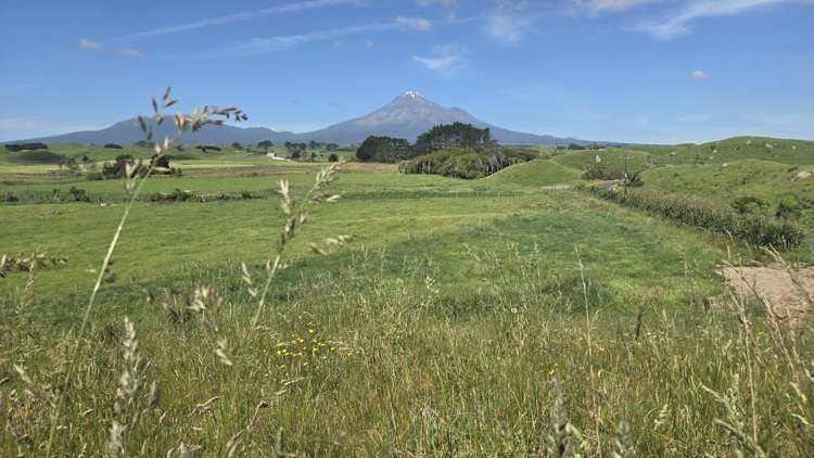 . Opourapa Road Rahotu_15