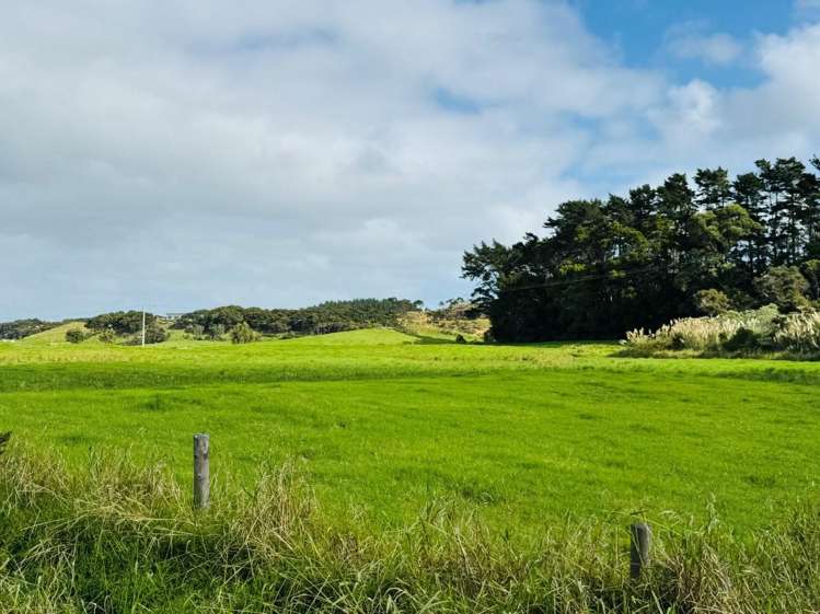 Lot 1/3233 State Highway 1 Pukenui_13