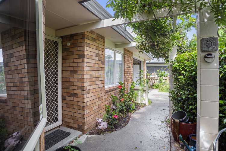 1 Twickenham Close Katikati_11