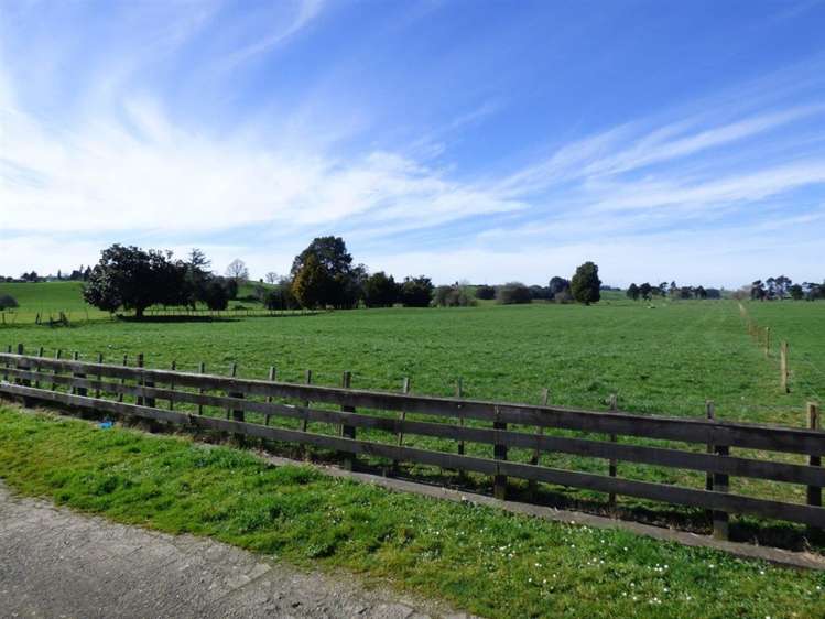 113 Phillips Avenue Otorohanga_12