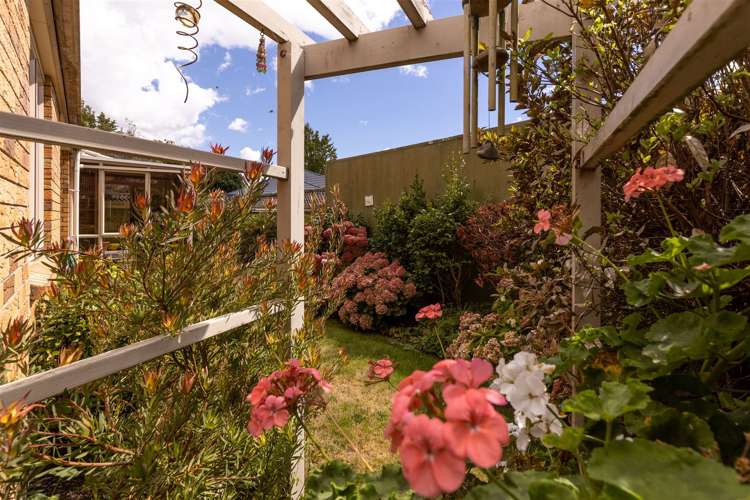 33b Litchfield Street Redwoodtown_17