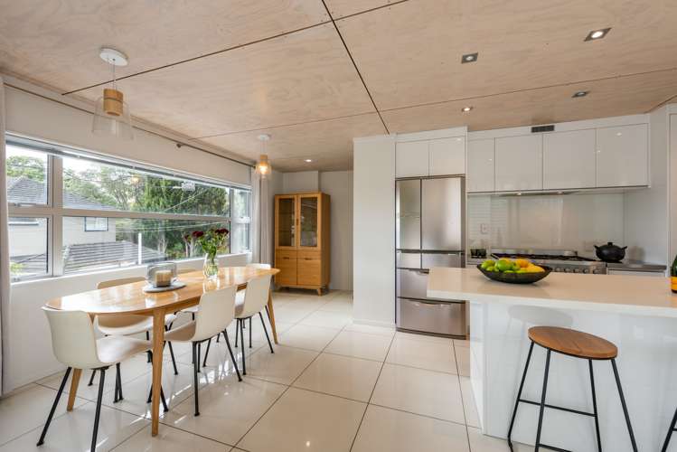 3b Anderson Terrace Mount Cook_6