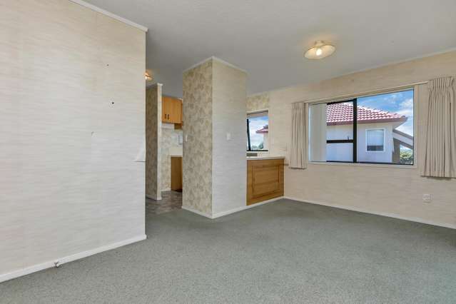 14a Cradock Street Avondale_4