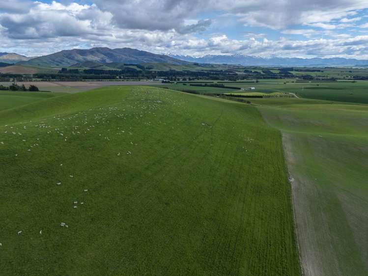 761 Mount Nessing Road Albury_13