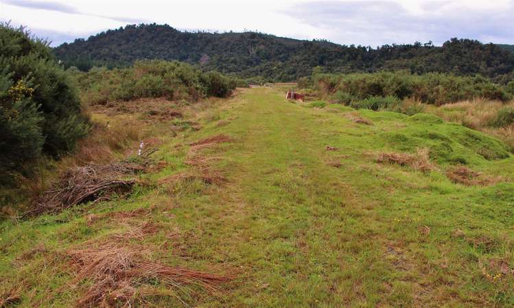 Blue Spur Road Hokitika_7