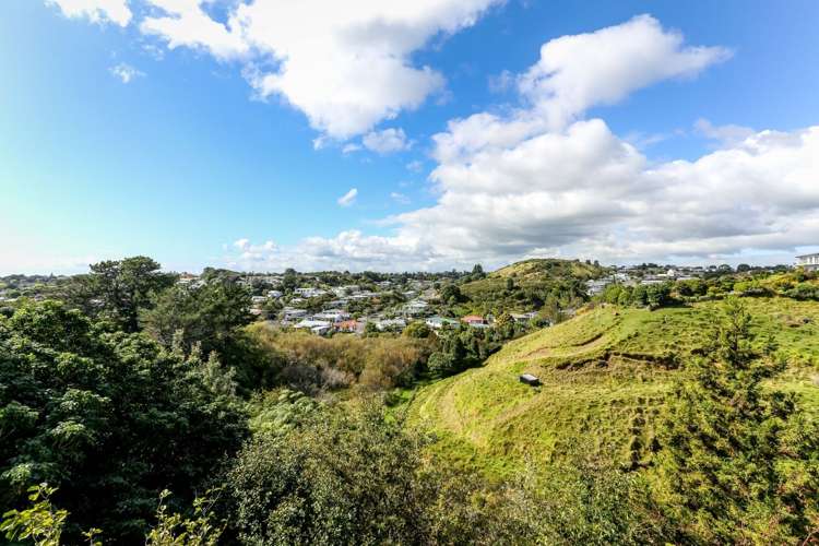 11 Harriet Place Spotswood_16