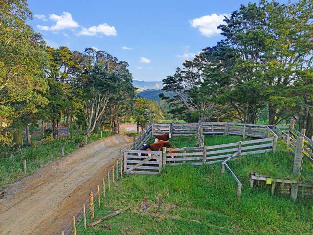 240 Pukeatua Road Maungatapere_2