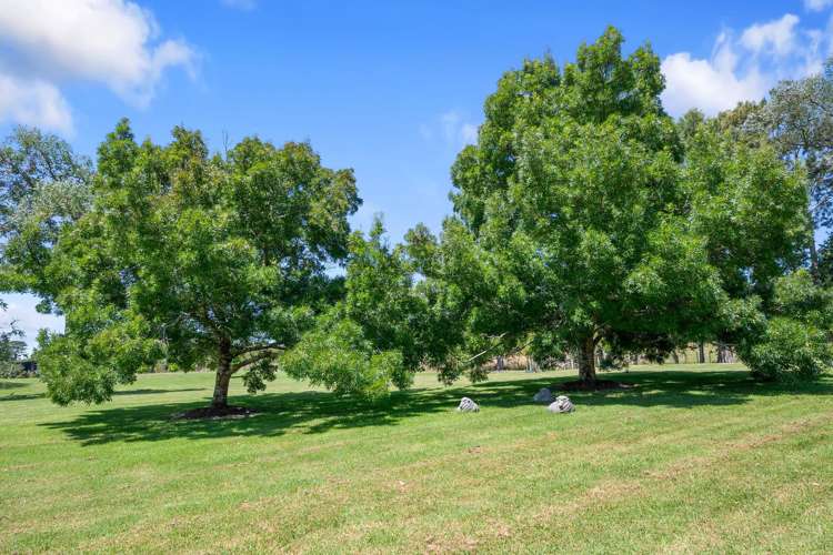 44 Hardens Lane Paremoremo_15