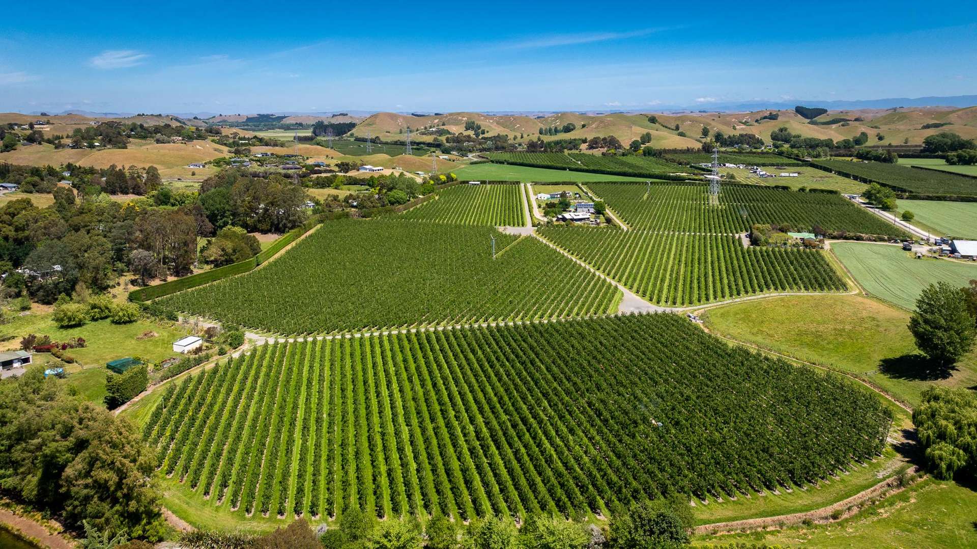 Rakete Orchards LP Hastings_0