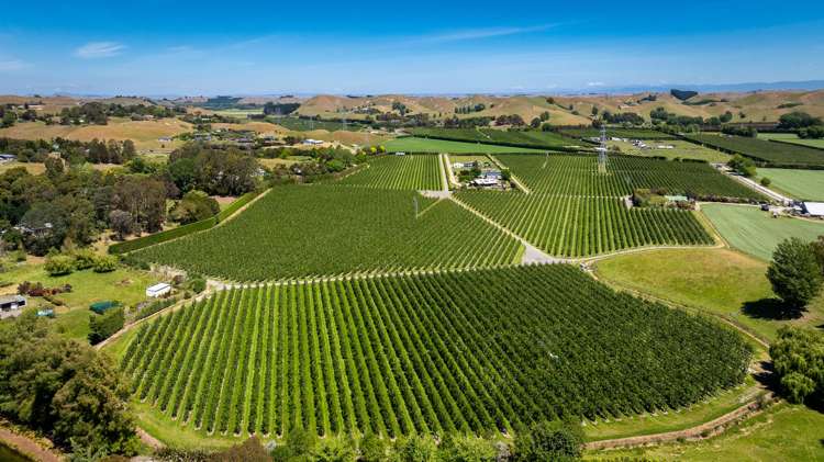 Rakete Orchards LP Hastings_0