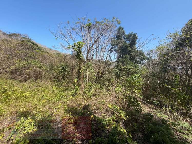 Address withheld Savusavu_14