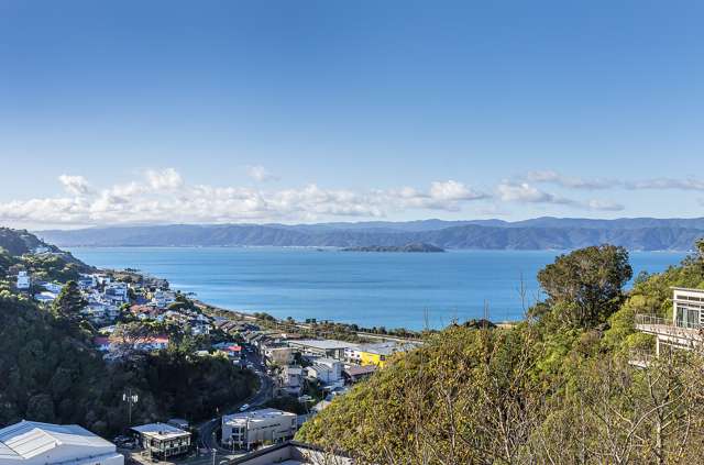 194a Barnard Street Wadestown_2