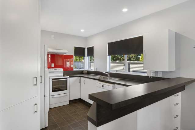 3/58 Maxwell Road Blenheim_3