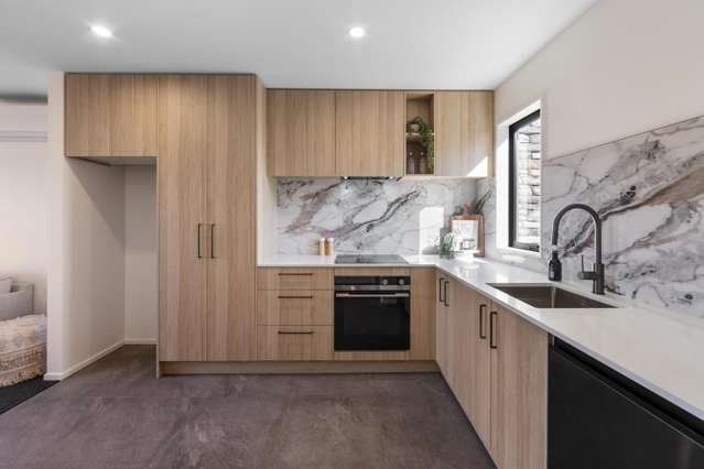 60 Division Street Riccarton_2