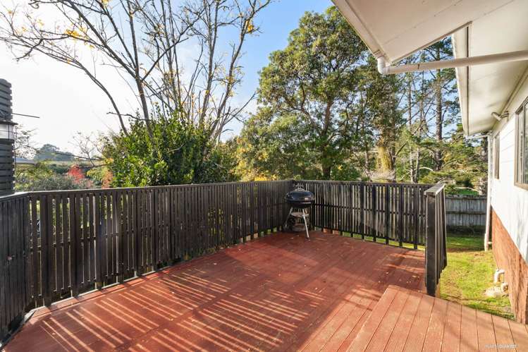 27B Matipo Drive Tuakau_13