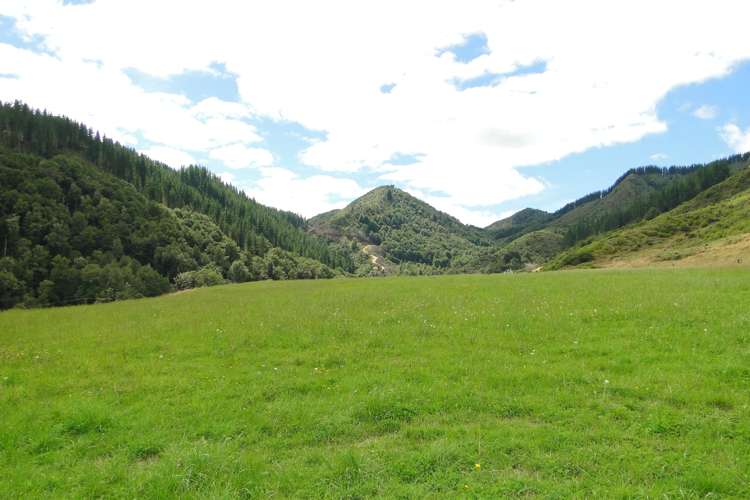 845 Shenandoah Highway Murchison_12