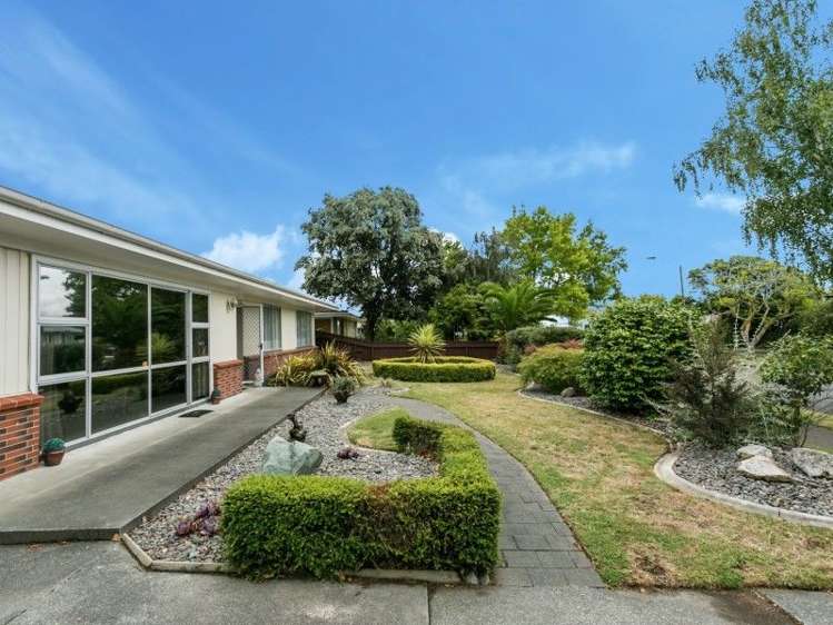 50 Rochester Street Tamatea_15