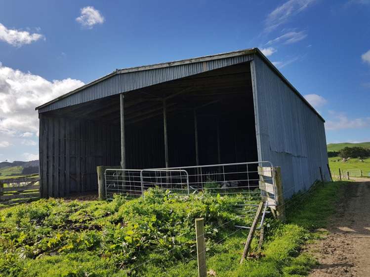 126 Trig Road Waihi_11