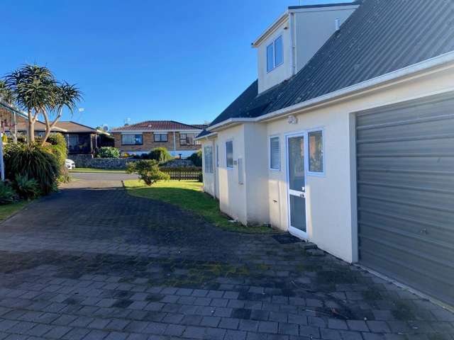 5B Hinerua Street 1106_2