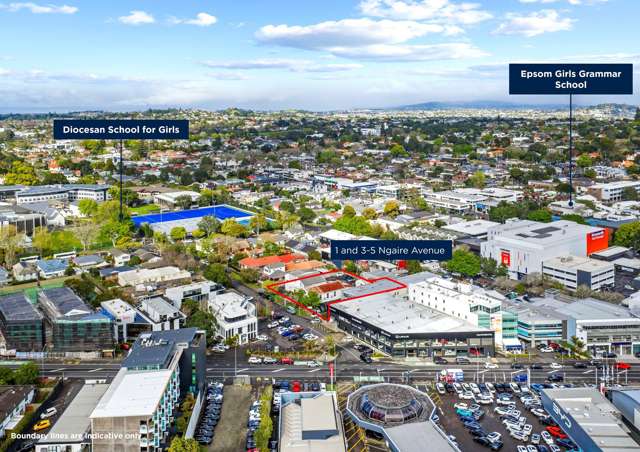 1 and 3-5 Ngaire Avenue Epsom_2