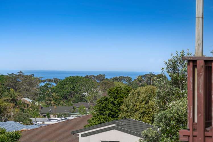 29a Little Barrier Avenue Manly_30