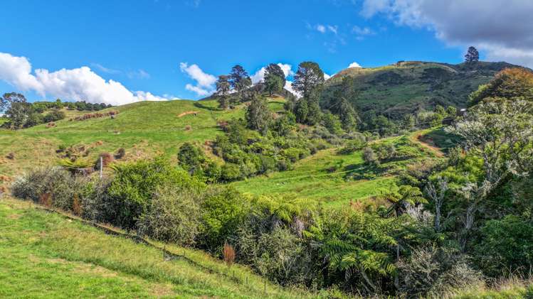 129 Savage Road Waihi_7