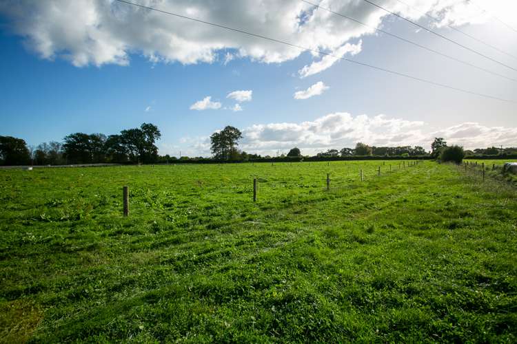 378 Victoria Road Pukemoremore_7