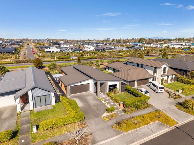 37 Lulu Avenue Chartwell_20