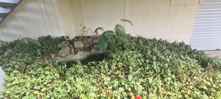 14 View Street Maungaturoto_20