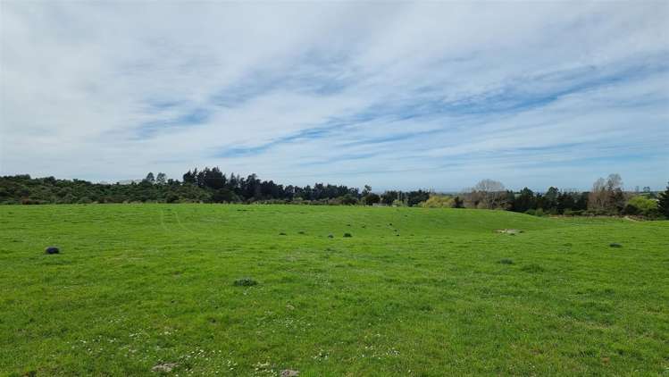 Mill Road Waimate_5