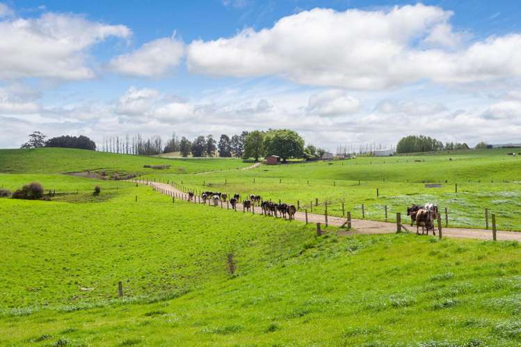 1918 Morrinsville-Walton Road Matamata_12