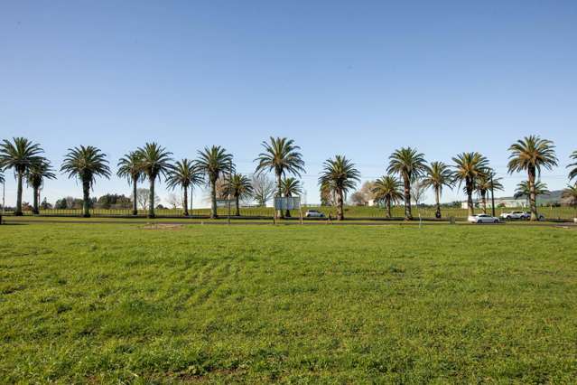 Lot 2/156 Parry Palm Avenue Waihi_1