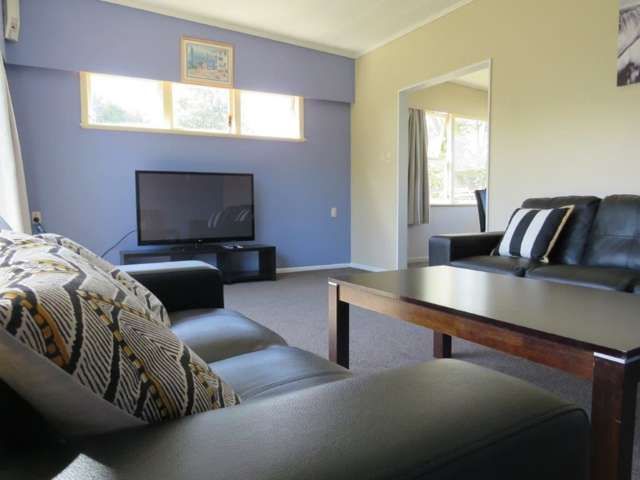 27 Collingwood Street Levin_3