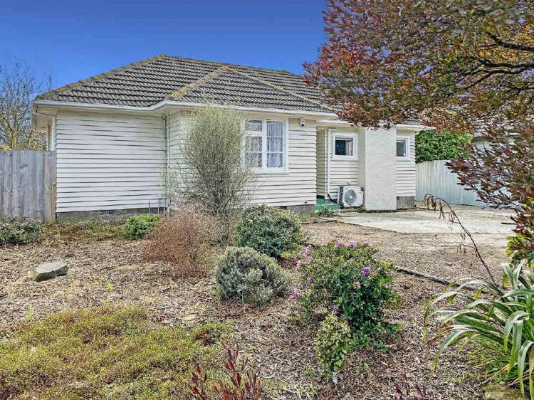 290 Waterloo Road Hornby_19