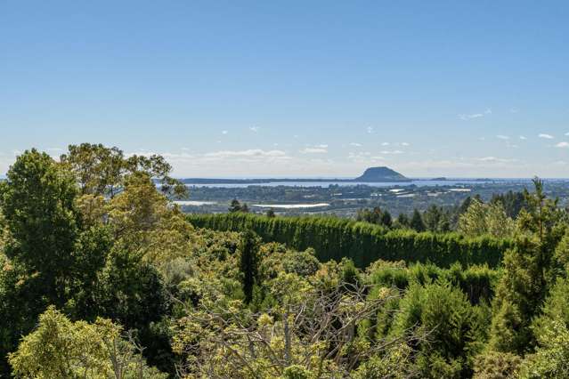 257D Whakamarama Road Whakamarama_2
