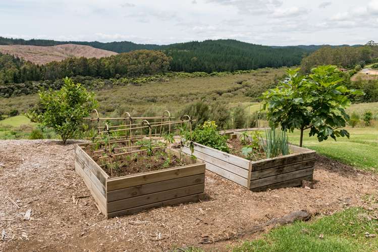 11b Heron Hill Kerikeri_23