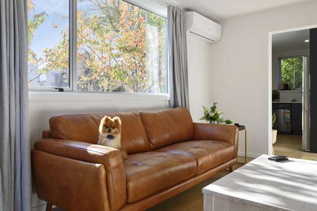 1/162 Chester Street East Christchurch Central_4