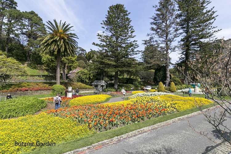 35 Patanga Crescent Thorndon_17