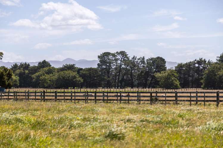 22 Spencer Lane Greytown_7