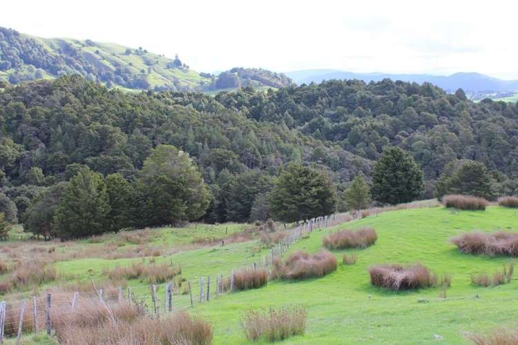 Pipiwai Road Ruatangata_10